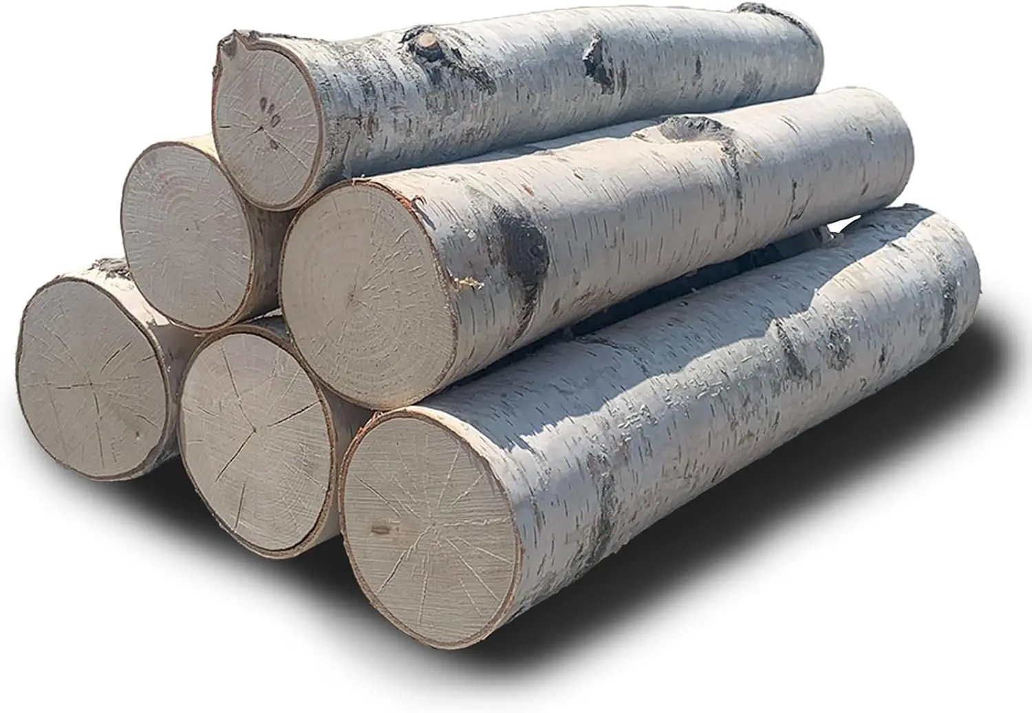 Logs decorativos de vidoeiro branco, madeira natural, 15,5-17,5 em comprimento 1,5-4 em comprimento Conjunto de 6