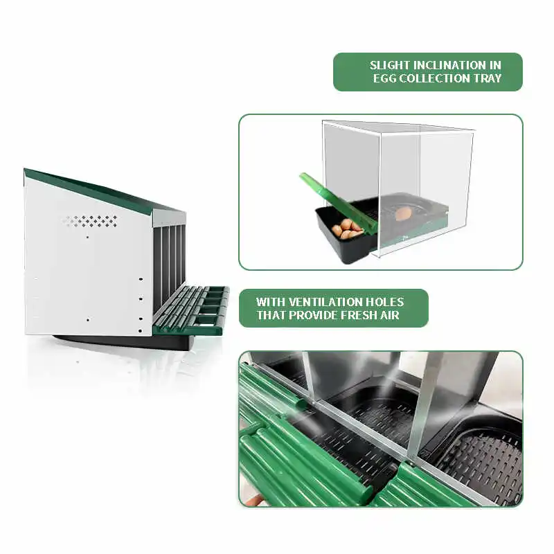 5 Holes Chicken Nesting Box Poultry Farm Equipment Green Red Orange Color Good Quality