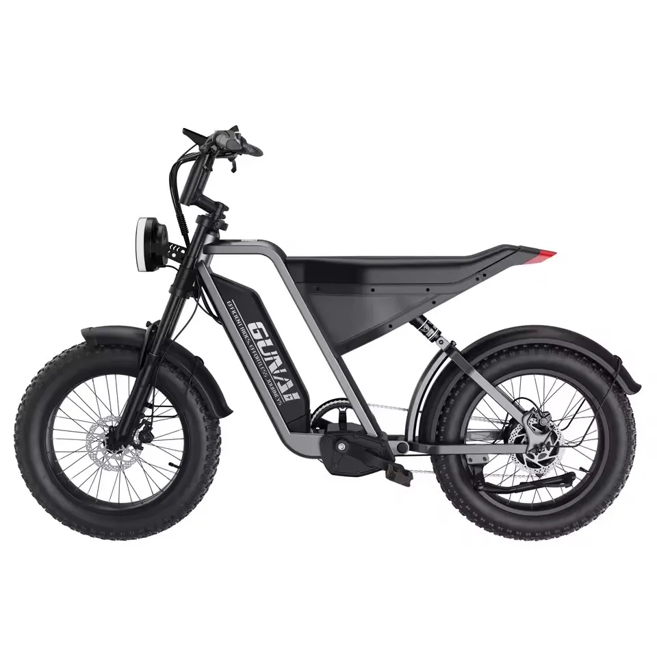 

Adult Electric Bike, Engine 1000W 20 E-Bike Suburban Mountain E-Bike Battery 48 v21ah 60KM e Bike