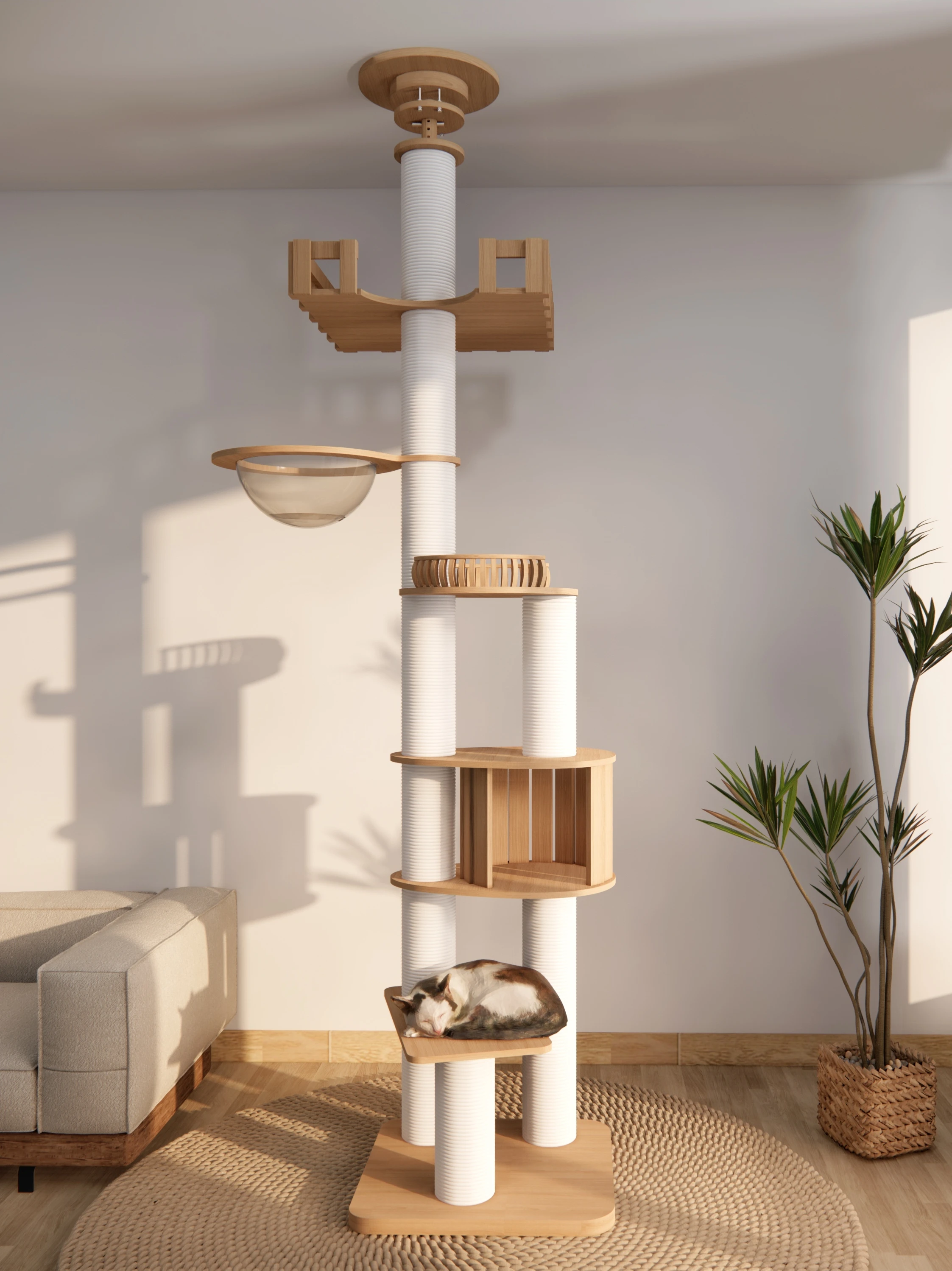 

Cat litter household does not occupy an area of special stability cat supplies