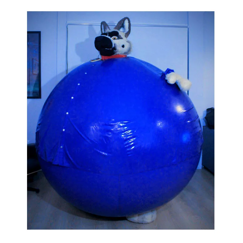 Traje inflable del arándano del traje inflable del juego de la pelota del PVC del precio de fábrica