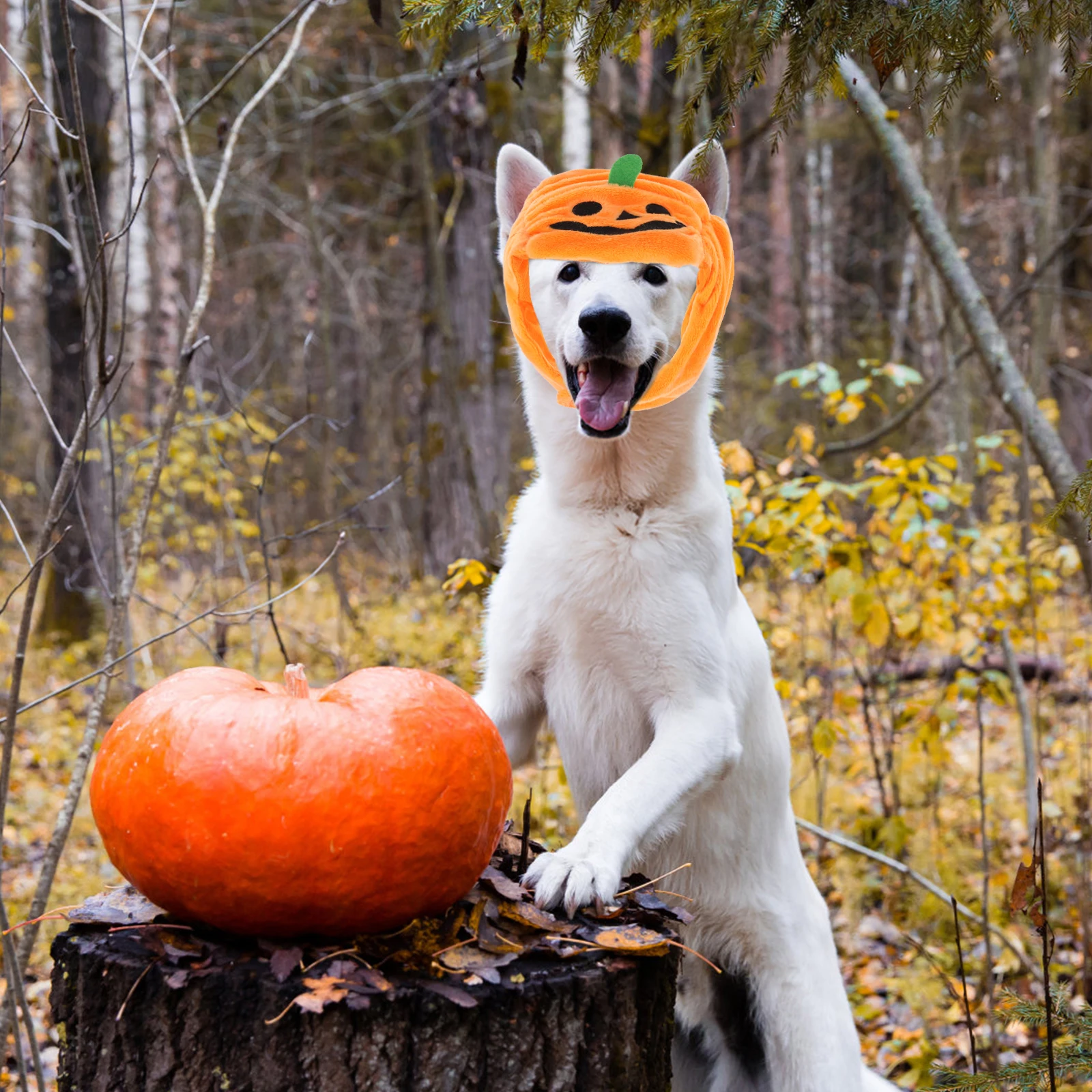 

Pumpkin Shaped Hat for Pet Dog Cat Adorable Halloween Decorative Wool Costume Headgear Shape Design Photo Prop