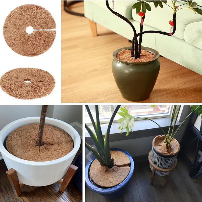 ألياف جوز الهند حلقة شجرة حامي حصيرة ، حماة نبات جوز الهند من الحيوانات ، نبات الحماية ، مهاد "، 12