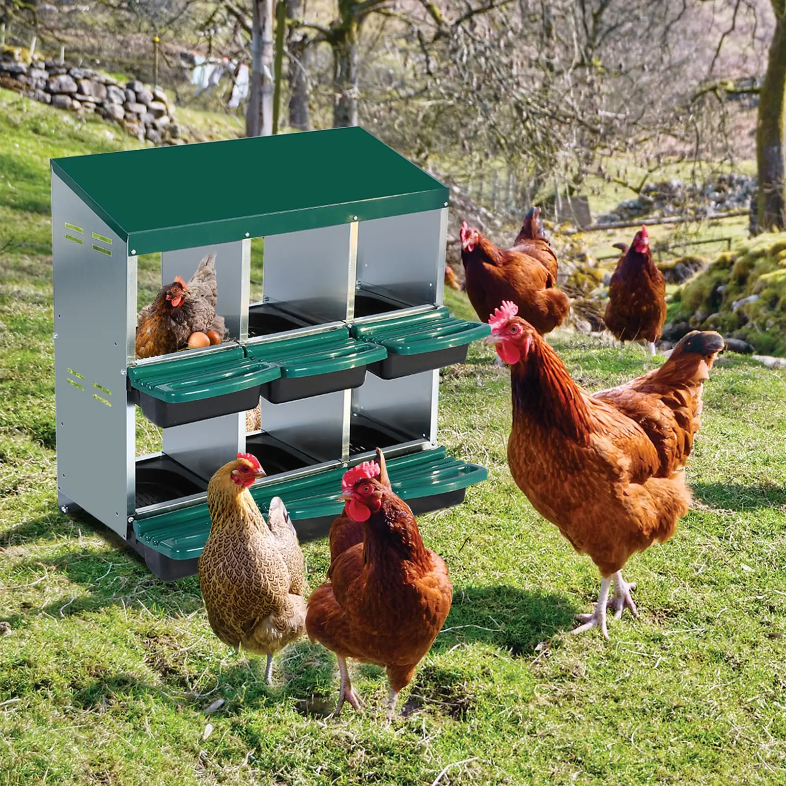 Nidi Per Galline, Nido A 6 Fori Con Coperchio Rimovibile, Nidi A 2 Livelli Per Galline, Nido In Metallo Verde Per Uova-image