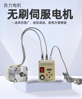 Belt machine motor deceleration brushless servo high power adjustable speed polishing machine lathe bench drill 220V mini