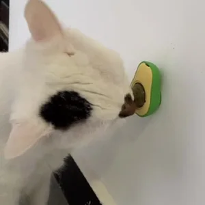 11 Hauptverkaufskatuo - №4