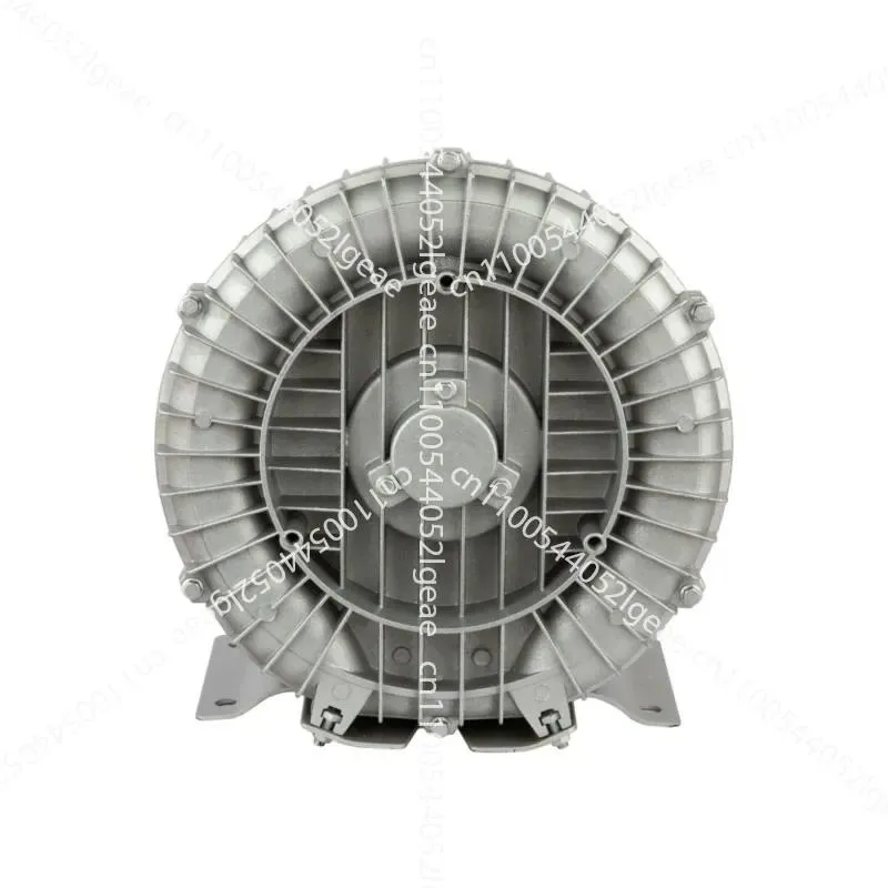 DC Brushless Swimming Pool Pump, Single-impeller Vortex Air Pump, Aeration Blower: Brushless Motor for Energy Efficiency