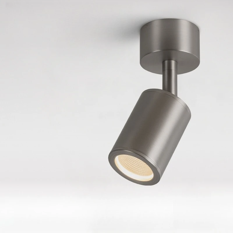 

Spotlight Downlight Ceiling Light Stainless Steel Track Spotlight Silver Nickel Photo Shot