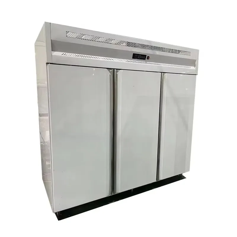 Three Door Air Cooled Commercial Freezer Refrigerator Vertical Reach in Big for Restaurant Hotel Kitchen Custom