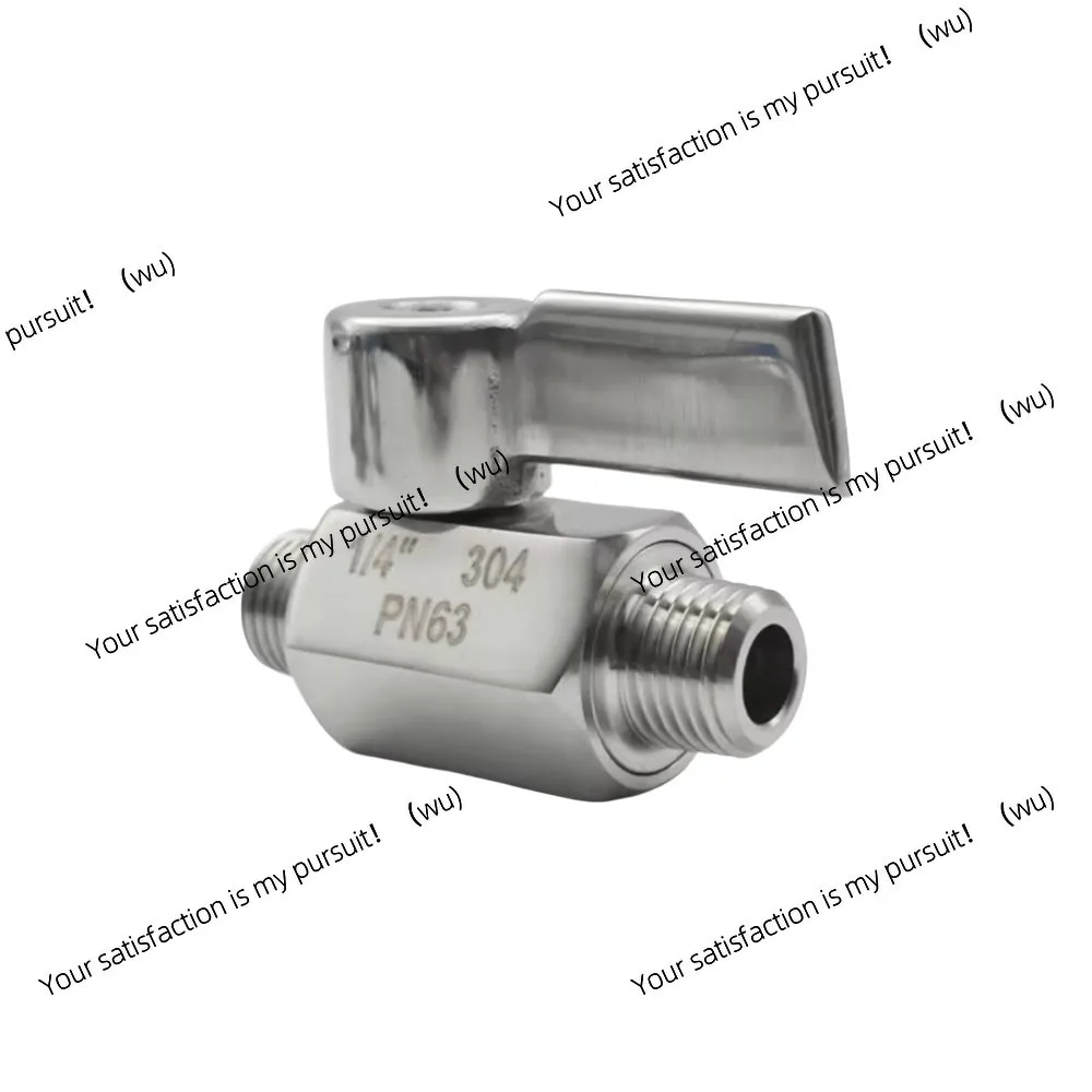 304 Stainless Steel Mini Ball Valve Sanitary Grade 1/8