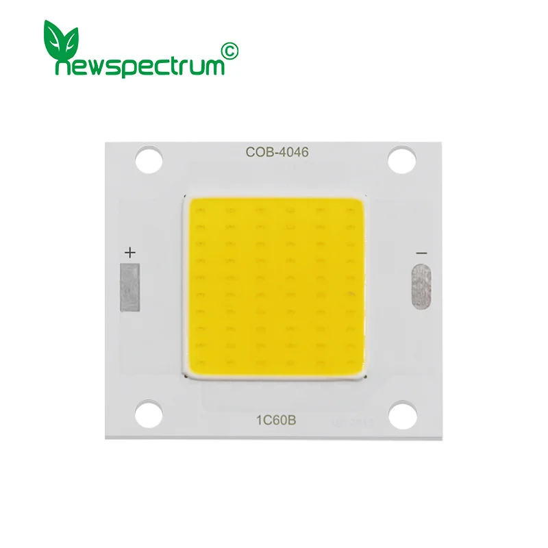 DC 3V 12V 24V 30V LED COB Chip 4W 18W 20W 30W 50W for Spotlight Diode LED Module Solar Light Floodlight Lamp Source