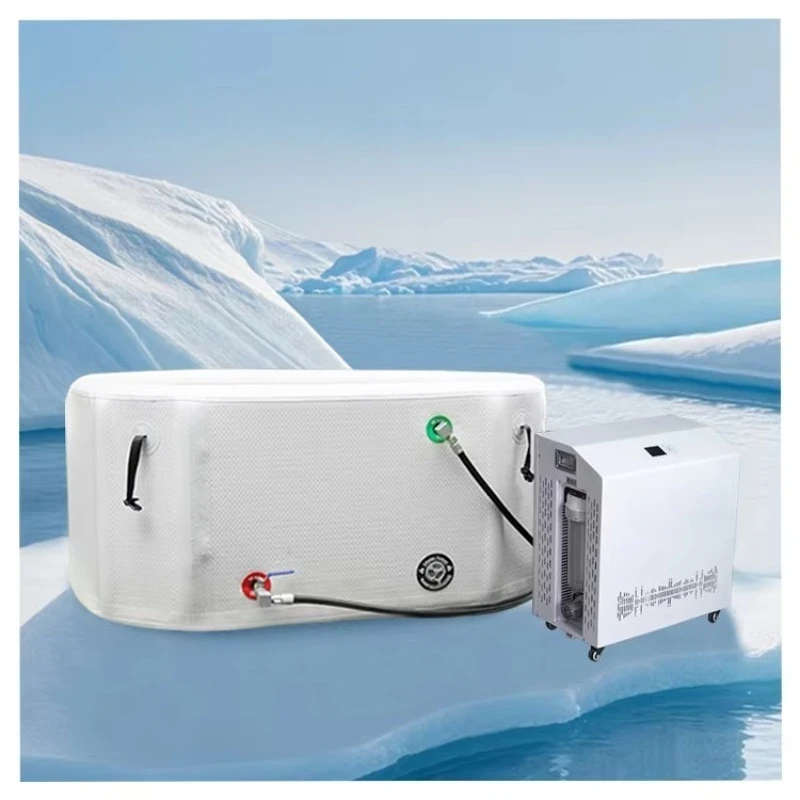 220V Compact Outdoor WiFi Ice Bath Chiller 0.5HP 1/2HP 1HP 3HP Gym Studio