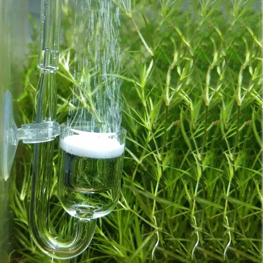 Acrylic Aquarium CO2 Diffuser Fine Ceramic Atomizer Reactor for Fish Tank Moss and Plant Growth System view 5
