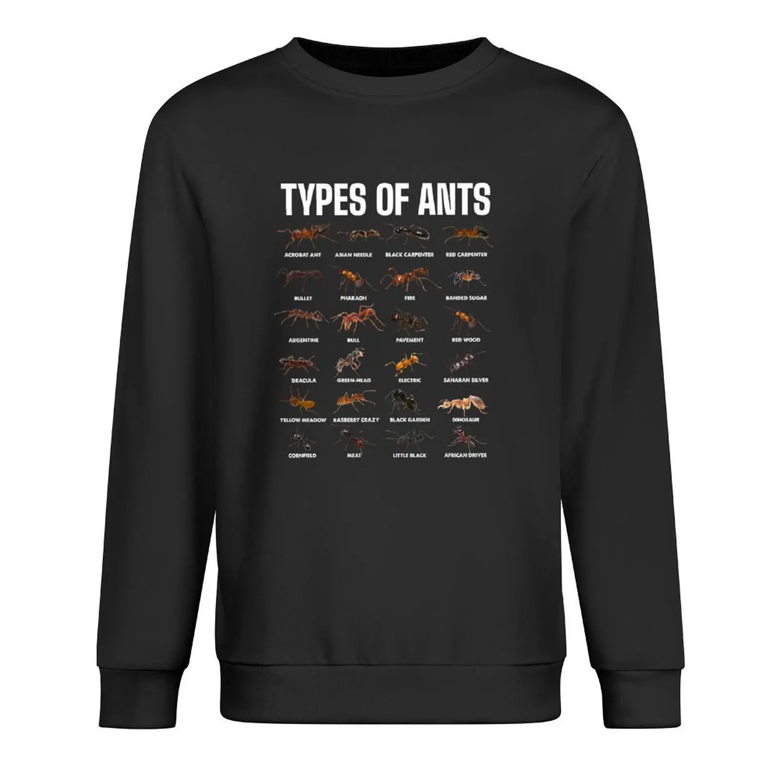 

Types of Ants for Ant Keeper Lovers Pullover men's winter sweater autumn jacket men mens clothing sweatshirts