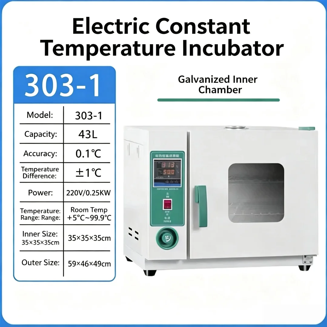 Constant‑Temperature Electric Incubator, Digital Heating Cabinet for Lab Bacteria Mold Cell Culture