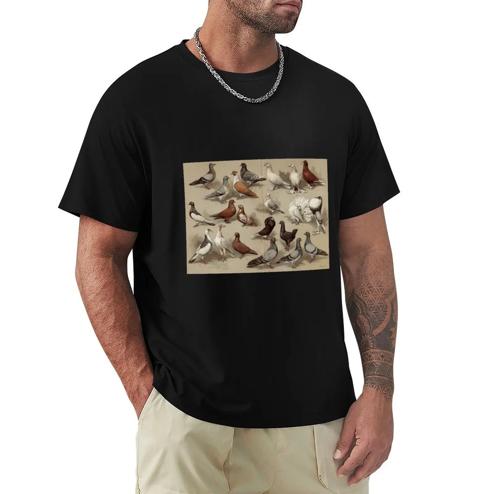 

Pigeon Breeds Chart T-Shirt aesthetic clothes valentines clothes sublime sports fans Men's t shirts