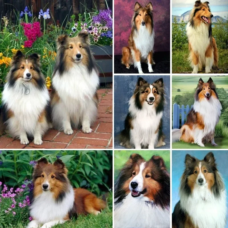 Full Square DIY Diamond Painting Sheltie Collie Sheepdog Mosaic Picture Rhinestones 5D Diamond Embroidery Cross Stitch Crafts