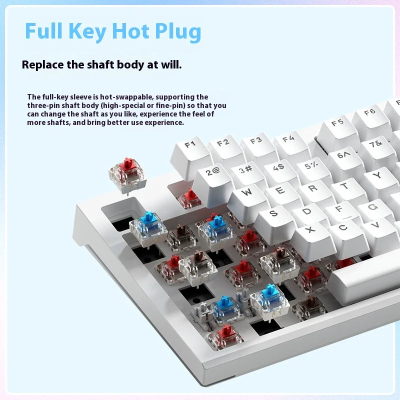 AULA F3387 type-c wired mechanical keyboard, full-key hot-swappable,RGB cool lighting,87-key e-sports gaming mechanical keyboard