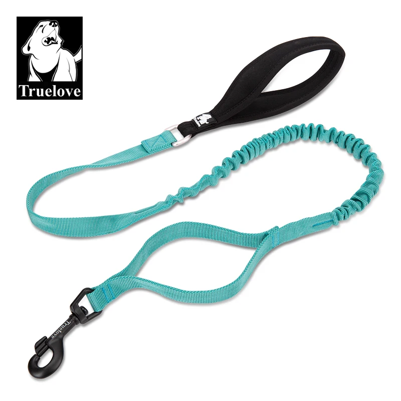 TrueLove Pet Leash Elastic Resiatant to Pull for Big Medium Small Dog  Accessories Supplies Nylon Yarn Webbing TLL2281