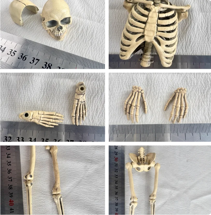 

YYDS 1/6 Soldier Skeleton Hand Foot Type Body DIY Accessories Alloy Material Model Toy In Stock