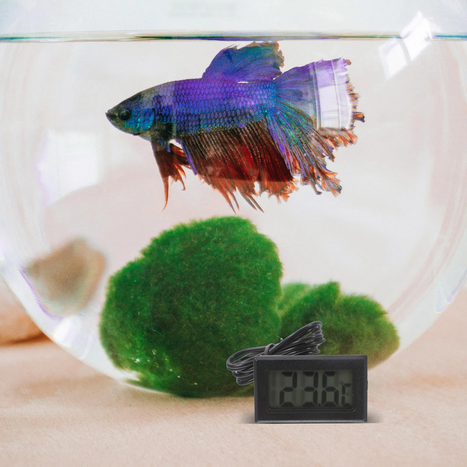 

Digital Thermometer Waterproof Probe Aquarium Refrigerator Water Temp Monitoring LCD Display Indoor Outdoor Use