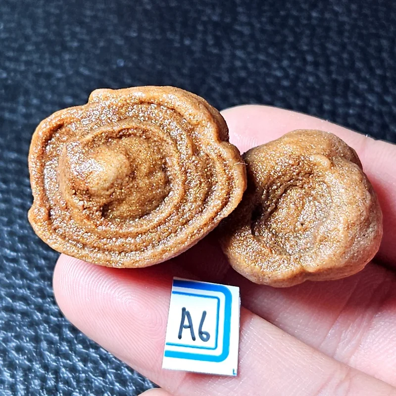 

Natural Sahara mineral specimens decorate the Rose Stone Aquarium for Christmas gifts