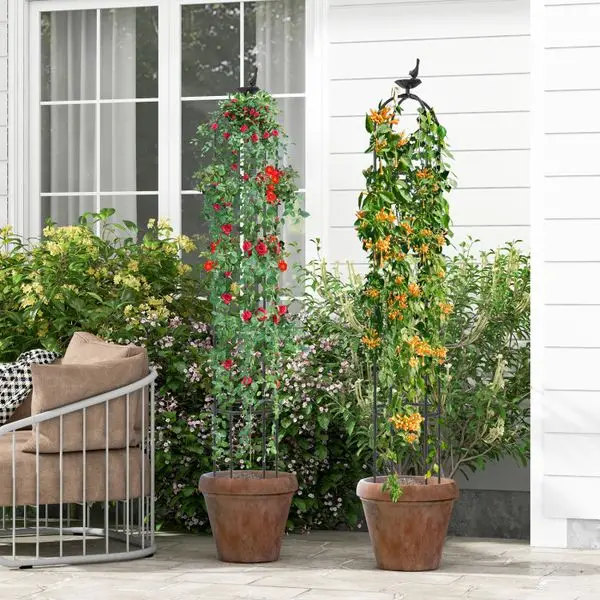 

2-Pack Garden Obelisk Trellis for Climbing Plants