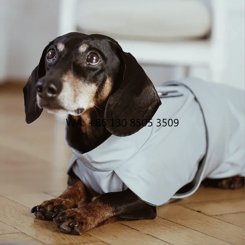 2025 Designer Dachshund Popular Raincoat Reflective Fabric Waterproof Windproof Dog Outdoor Summer Cool Style