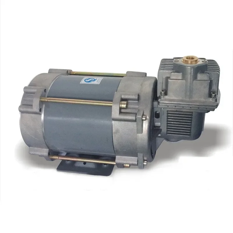 Oil and gas recovery vacuum pump, single pump head explosion-proof 220V refueling machine accessories equipment