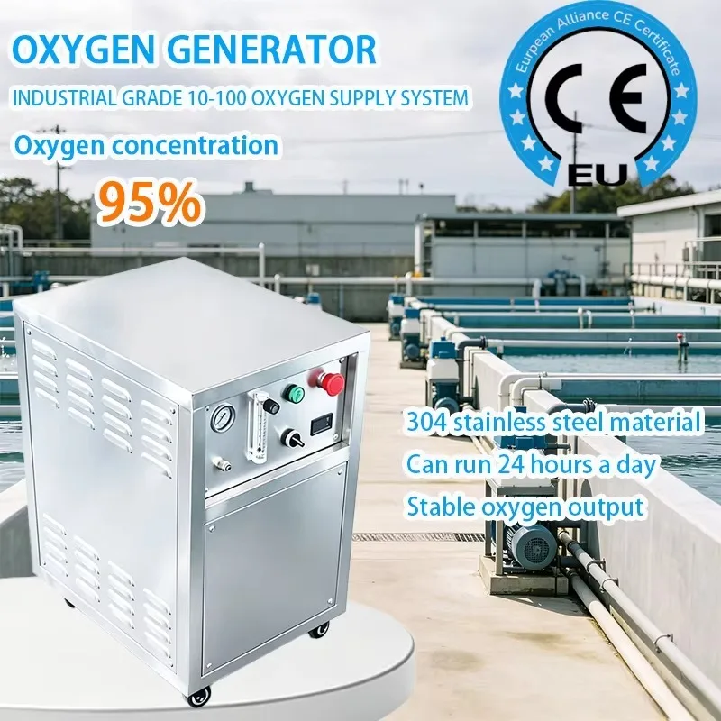 Oxygen Generator O2 Concentrator 3L 5L 10L for Small Glass Blowing Studio and Ozone Generator