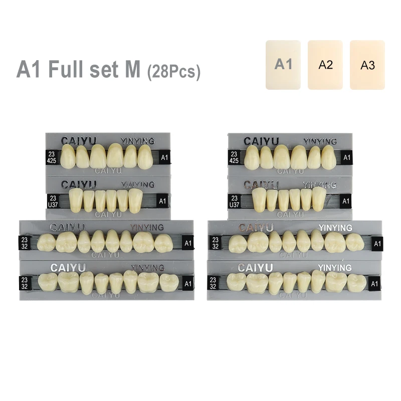 

28 Pcs Dental Teeth Teaching Model Acrylic Composite Multicolored Resin Denture Shade A2 A3 Upper Lower Full Mouth Set