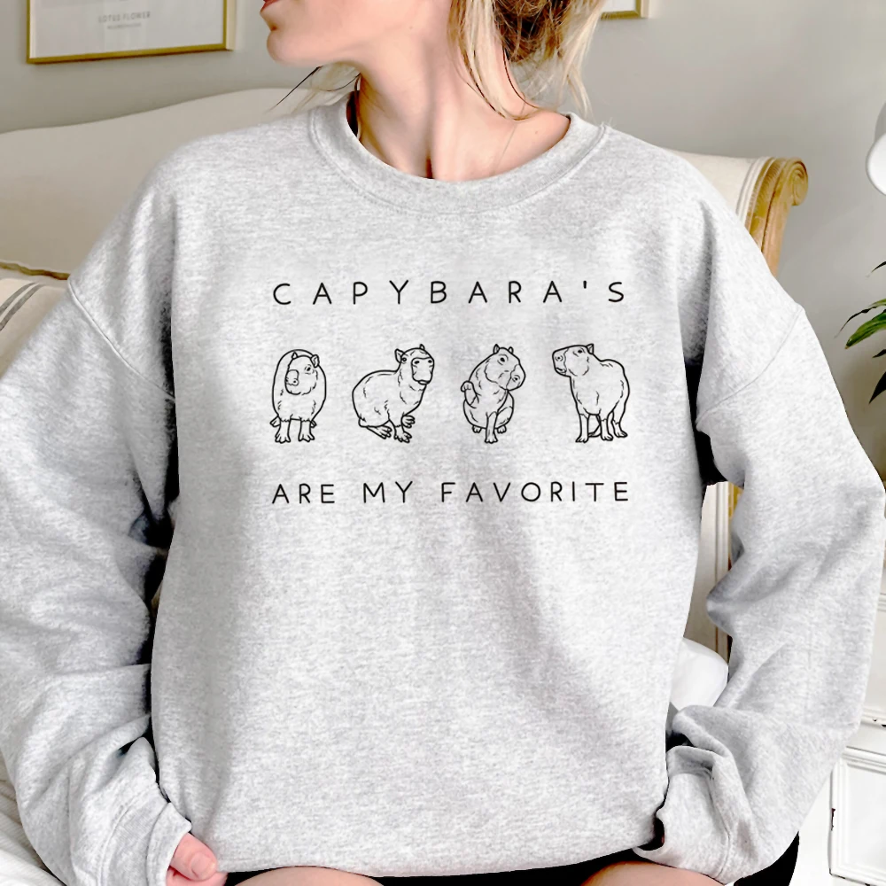 

Capybara hoodies women Kawaii aesthetic gothic streetwear clothing women japanese sweater