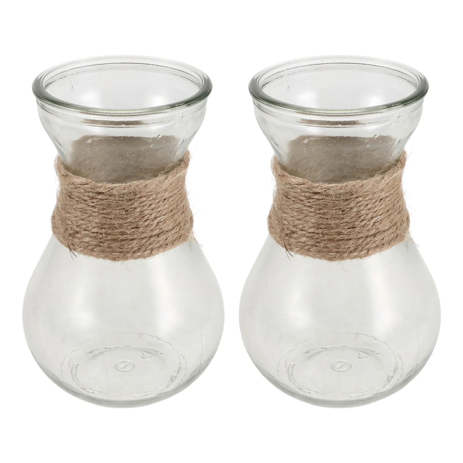 2Pcs Clear Bulb Glass Plant Vases Transparent Hydroponic Vase for Home Office Table Decoration Floral Propagation Planter