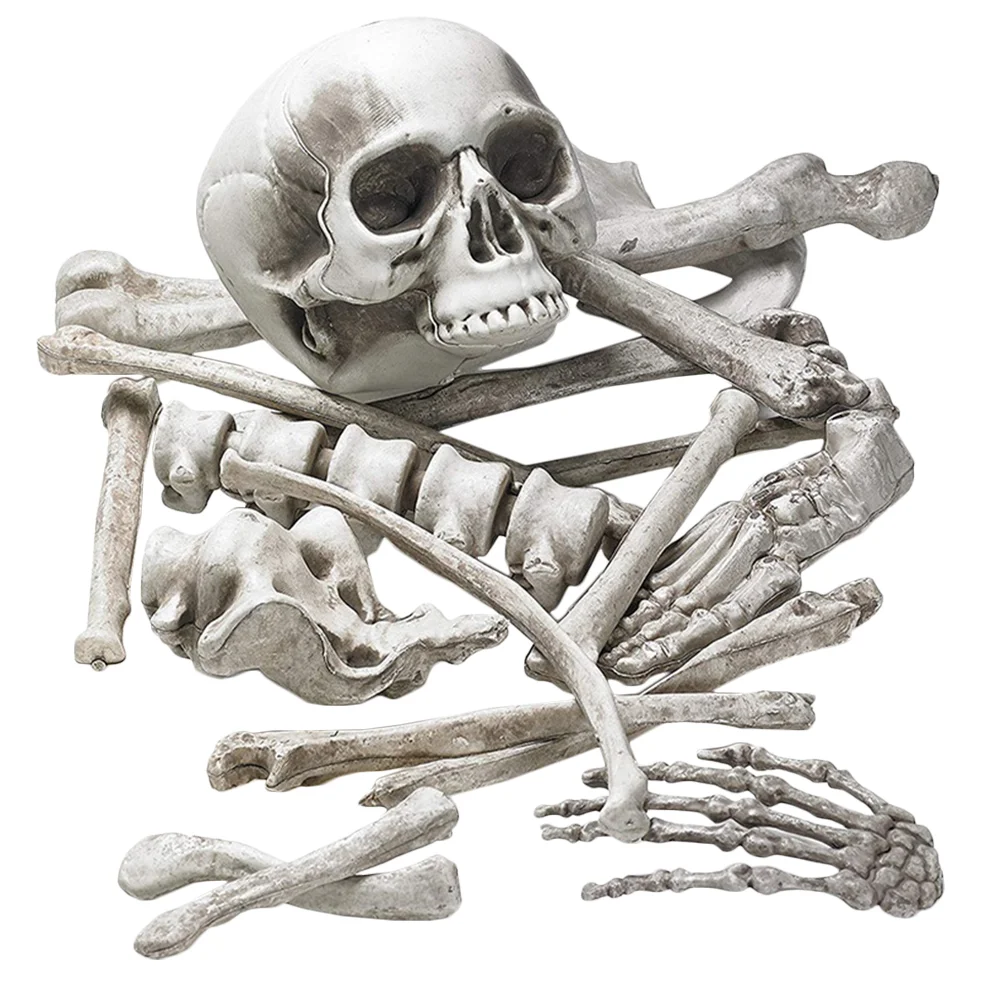 

Halloween Decor Skull Decoration Humans Ornaments Haunted House Bones Statue Supplies Plastic White