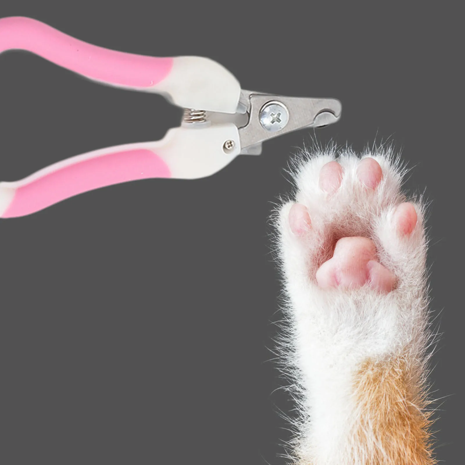 

1Set Convenient Grooming Hammock for Pets Heavy Duty Steel Frame Easy Install Home Pet Shop Nail Accessory