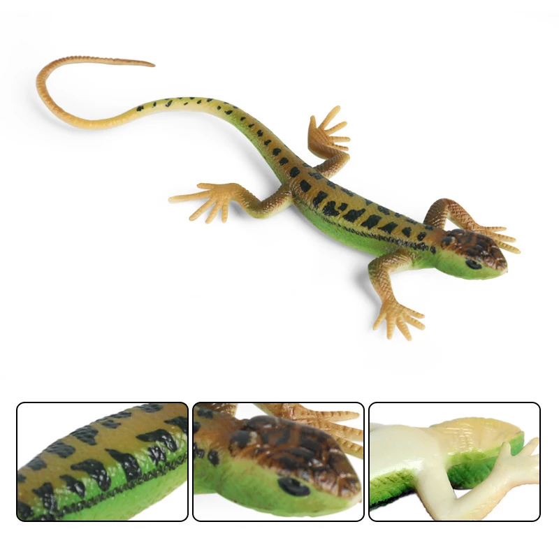 Simulated Lizard Model Groundlizard Blue-tailed Skink Toys Home Scene Decoration Ornaments Kids Education Congnitive Biology