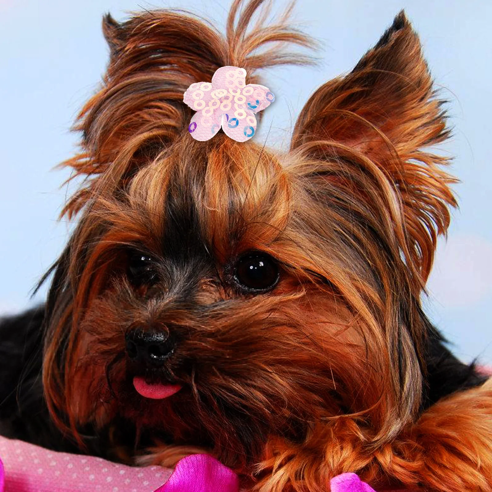 

10pcs Pet Hair Accessories Elastic Rope Shiny Mesh Flowers Dog Grooming Salon Tie Long Hair Cat Rabbit Pomeranian Hairbands