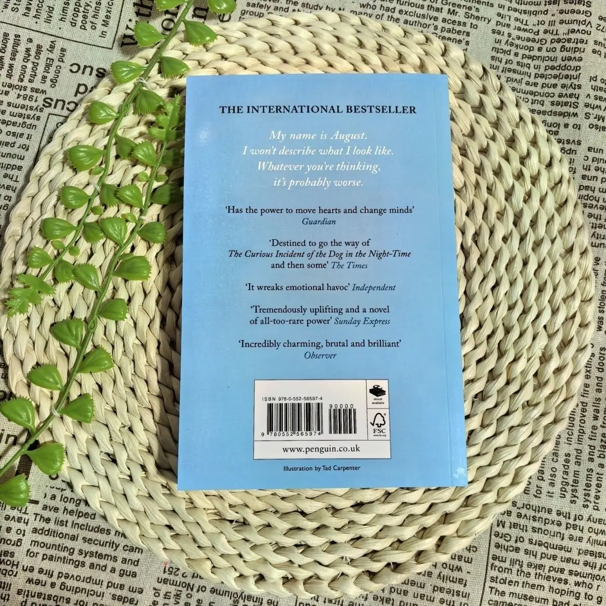 كتاب ووندر بوي الإنجليزي رواية باراكيو الأصلية للعائلة والأبوية والشباب رواية ملهمة كتب إنجليزية Libros Livros