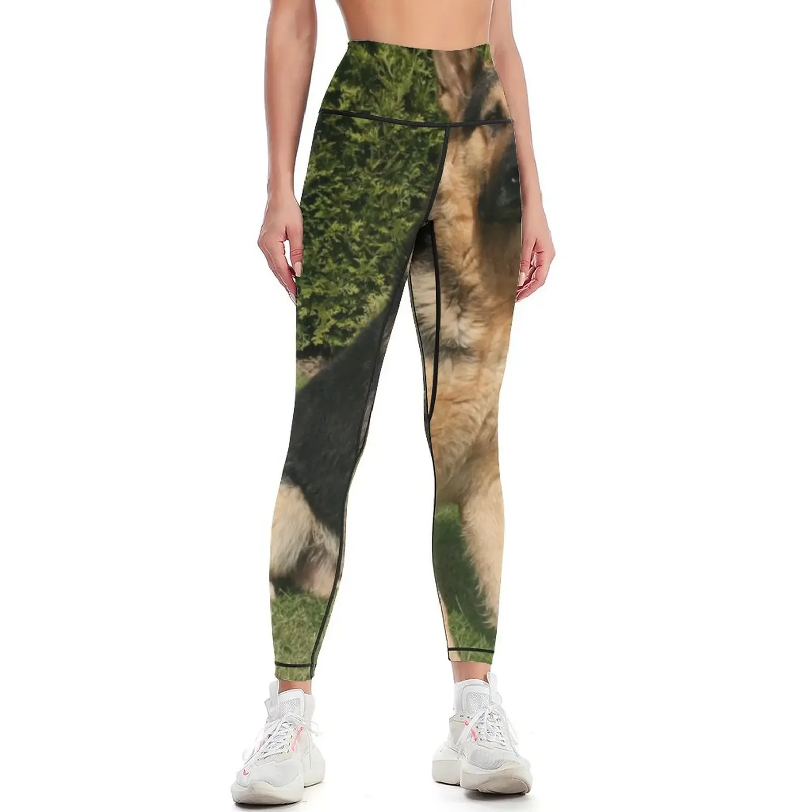 

German Shepherd Leggings sports for push up Sportswear woman gym Womens Leggings