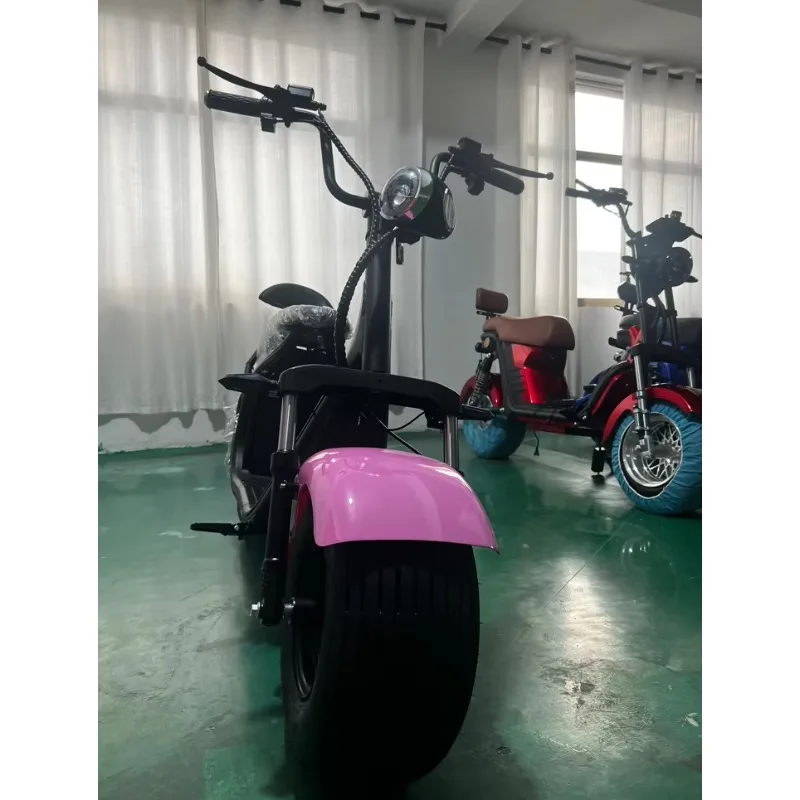 Electric Scooter Citycoco 1000w Electric Motorcycle Battery 60V 12AH