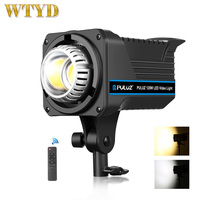 PULUZ 220V 120W Studio Video Light Dual Color Temperature Built-in Dissipate Heat System with Remote Control