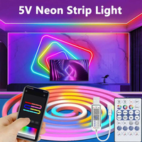 5V USB RGBIC Neon LED Strip,1/2/3/4/5/10M IP65 RGBIC Neon lamp tape with Bluetooth App and Remote For DIY Neon Deocor Lighting