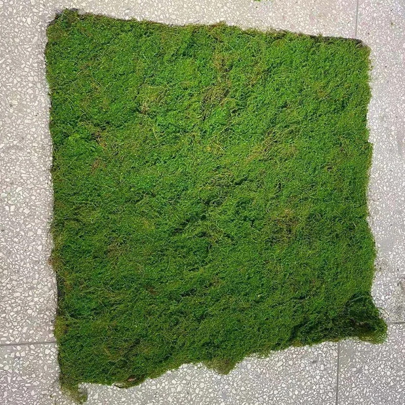 

Fake Moss Green Grass Lawn, DIY Artificial Moss, Micro Landscape, Wallpaper Home Shop, Wedding Decoration, 100cm * 100cm