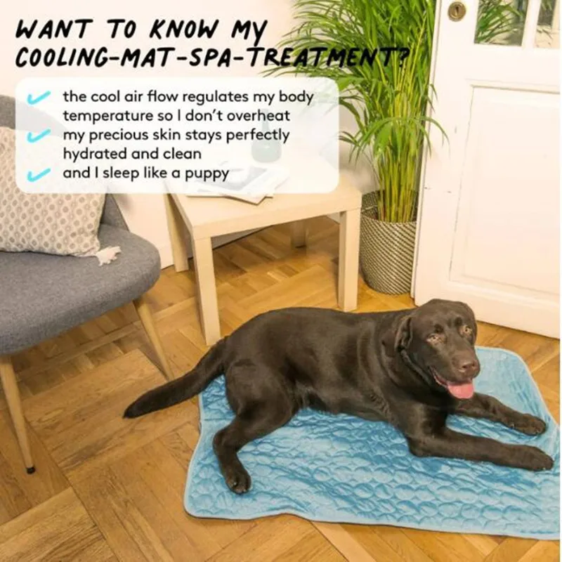Summer Self Cooling Pet Mat 4