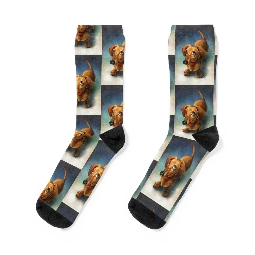 

Dachshund Dog cute Portrait Art Socks aesthetic Sports christmas stocking Hiking boots Woman Socks Men's