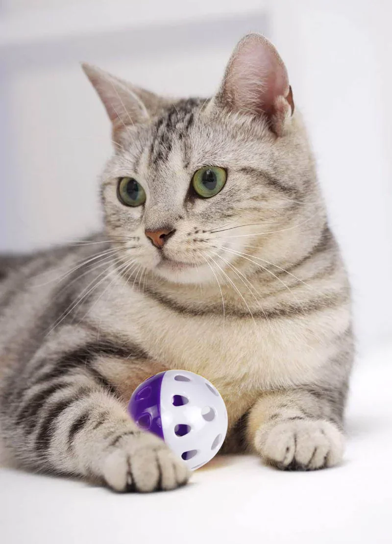 Juguetes de piezas con campana para gatos, pelota de plástico para masticar y rascar, juguete interactivo de entrenamiento, suministros para