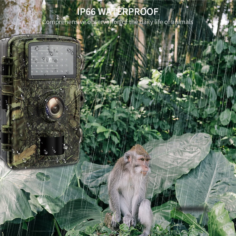 

Hunting Camera Trail Hunting Machine Field Hunting HD Camera Suitable for IP66 Waterproof Outdoor Camping Security Monitoring