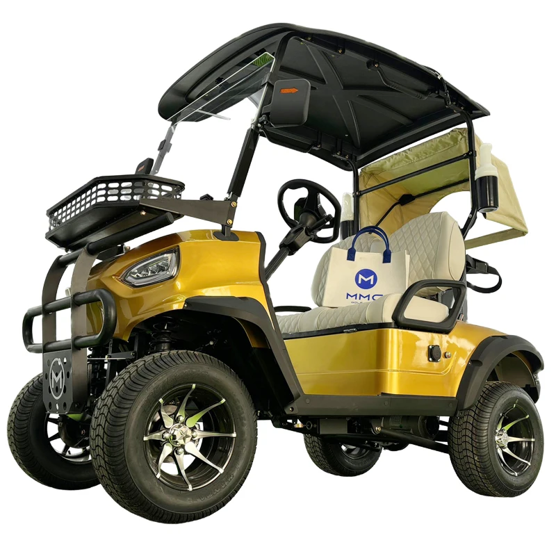 Hot Sale Battery Powered Golf Buggy CE DOT Certificate Golf Course 2 4 Seats Mini Off Road Buggy Electric Golf Cart