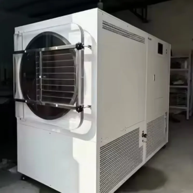 Lager Capacity  Home Use  HFD-50 Vacuum Freeze Dryer Lyophilizer For Food Processing With Vacuum Pump