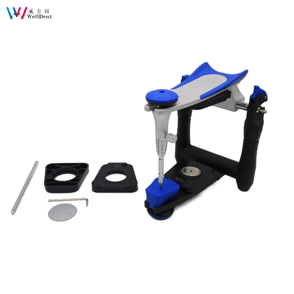 Dental Functional Precision Articulator Artex BN Model Accurate Scale Plaster Dentistry Lab Equipment